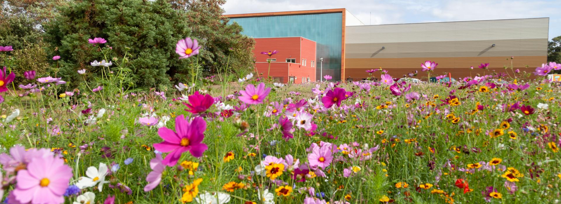 The sorting center at Changé, near Laval (Mayenne). Séché Environnement. Photo : François Vrignaud.